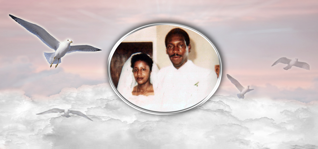 Pink Clouds (White) PROOF